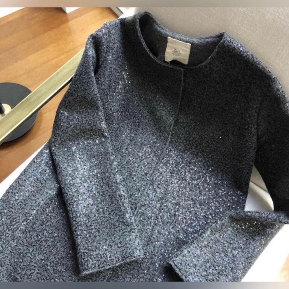 Zara sequin coat